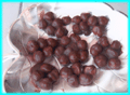 Nocciole.jpg (20072 byte)