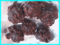 Praline.jpg (19320 byte)
