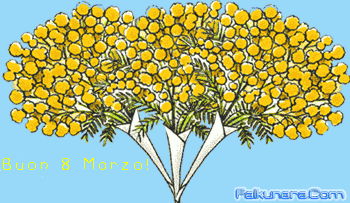 Mimosa - Auguri a Tutte le Donne
