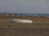 009.jpg (22114 byte)