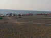 011.jpg (27083 byte)